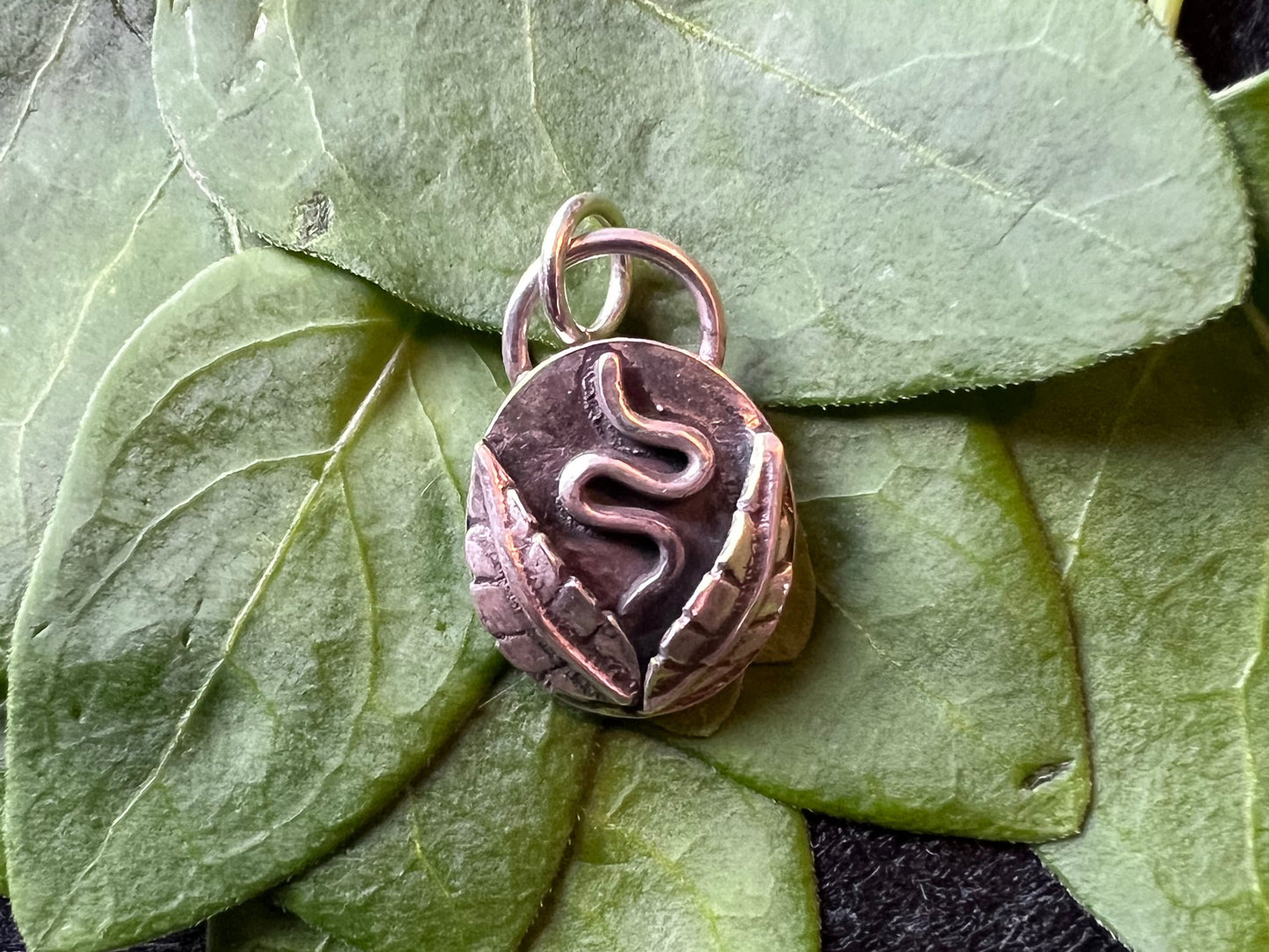 Sterling Silver Snake and Leaf Pendant