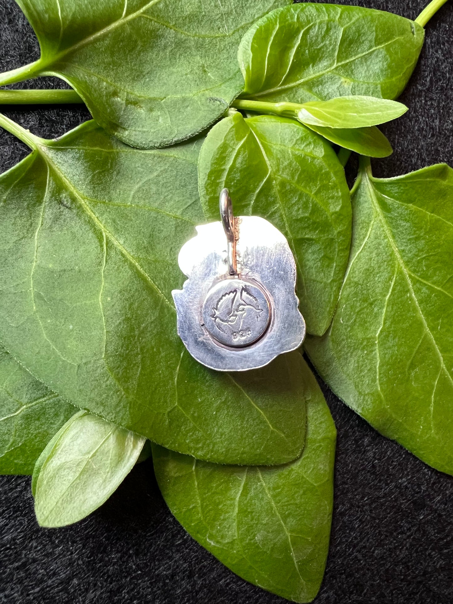 Sterling Silver and Wild Horse Jasper Pendant