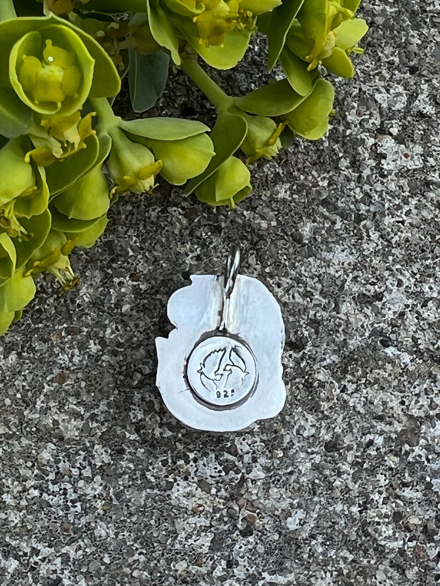 Sterling Silver and Wild Horse Jasper Pendant