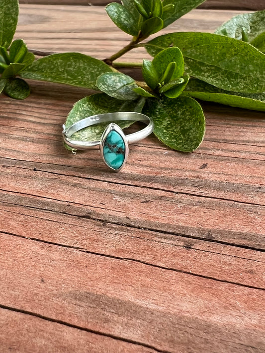 Sterling Silver and Turquoise Ring